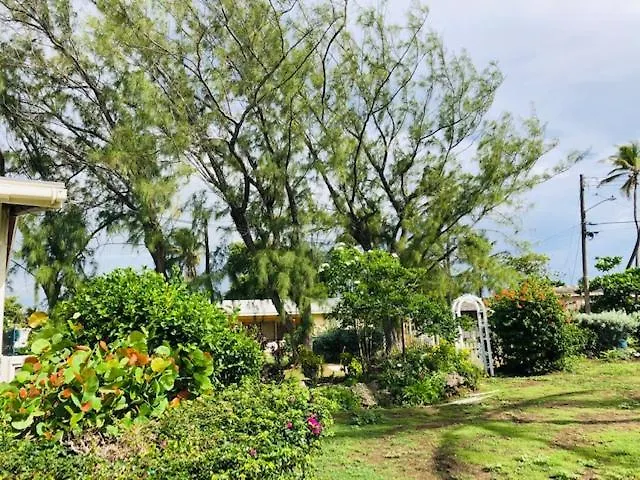 Coral Villa Saint Philip